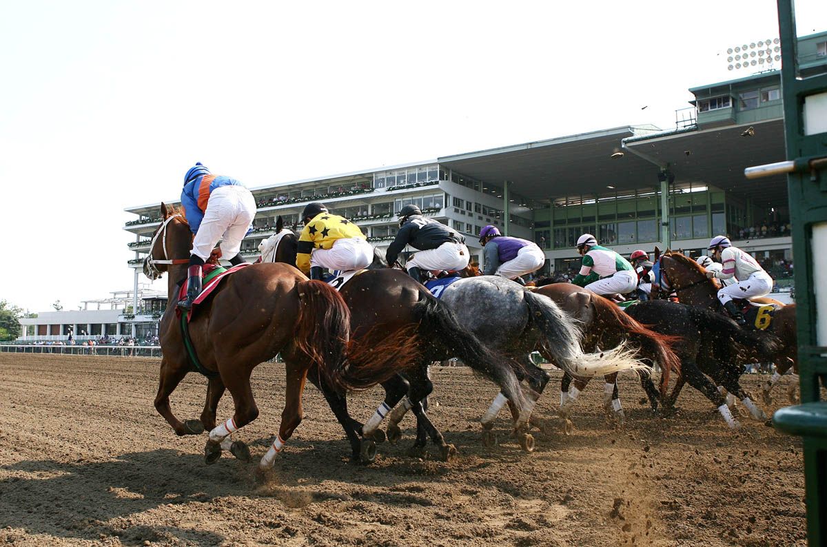 Role At Ractrack RACETRACK ACTION
