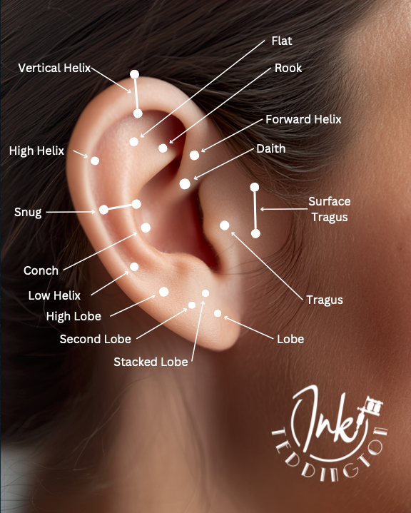 Annotated ear piercing chart on a close-up ear, labeling lobe, helix, tragus, conch, and other piercing spots