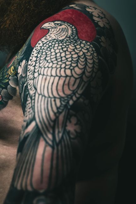 Tattooed bird on an arm with black outlines and a red circular background