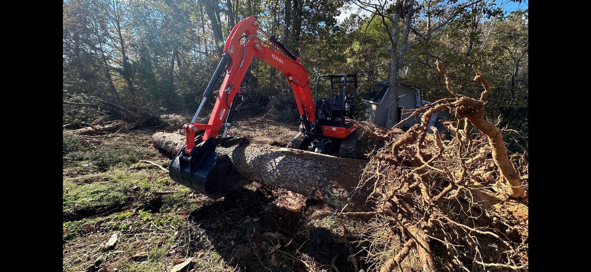 An orange excavator removing a tree trunk and roots in a wooded area.