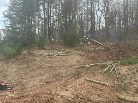A chainsaw is sitting in the middle of a dirt field in the middle of a forest.