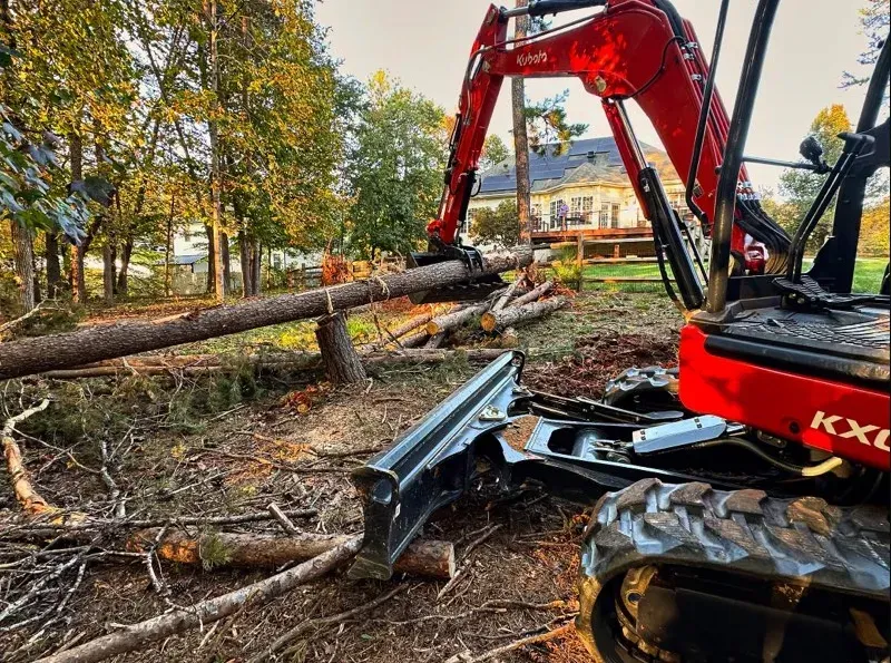 A red excavator is cutting down trees in a forest.