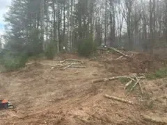 A chainsaw is sitting in the middle of a dirt field in the middle of a forest.