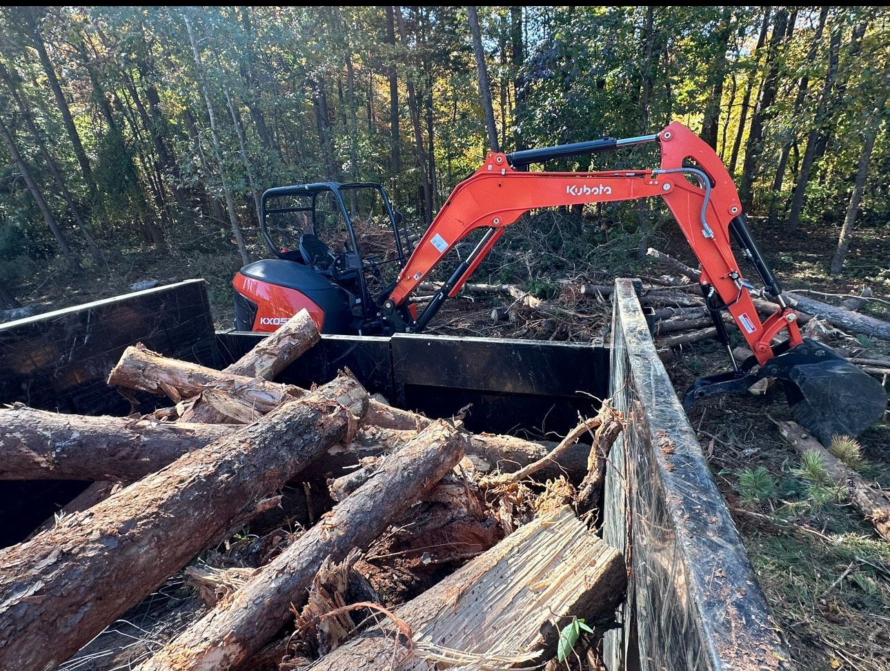 Mini excavator loading logs into a dark truck bed in a wooded area.