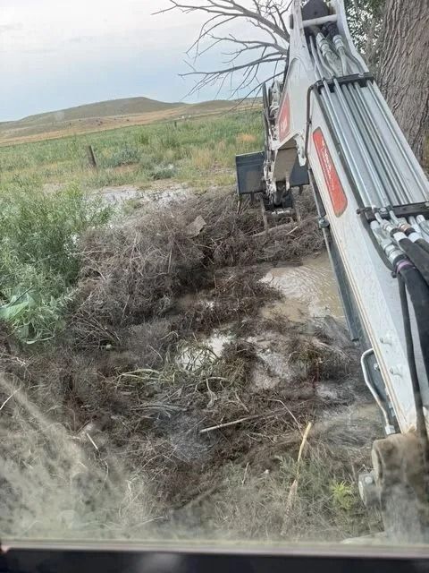 Excavator clearing brush beside a dirt road in a rural field under a cloudy sky