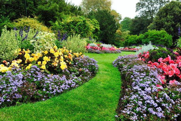 Garden with assorted flowering plants