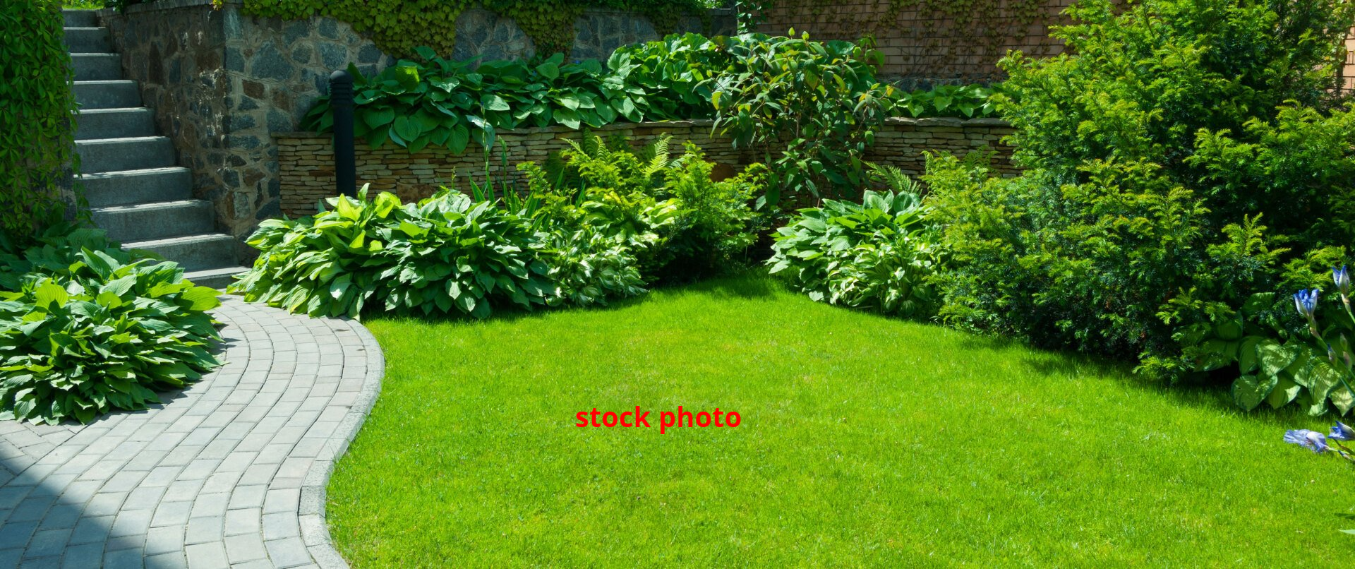 Lawn with pathways, shrubs and bushes
