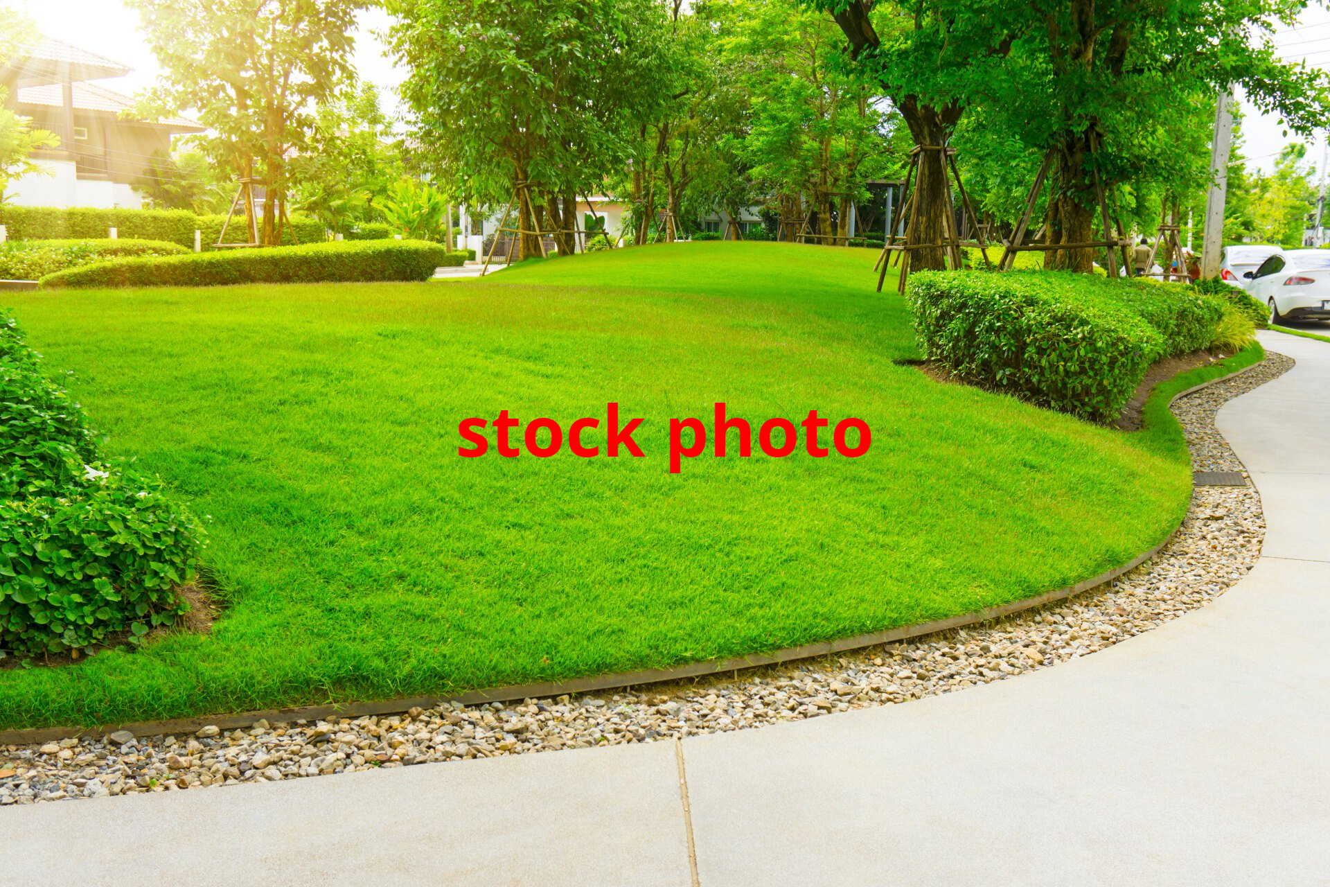 Eco park with hardwood trees