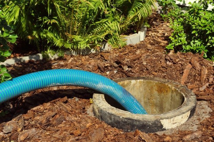 Blue hose filling a concrete garden well among mulch and green plants
