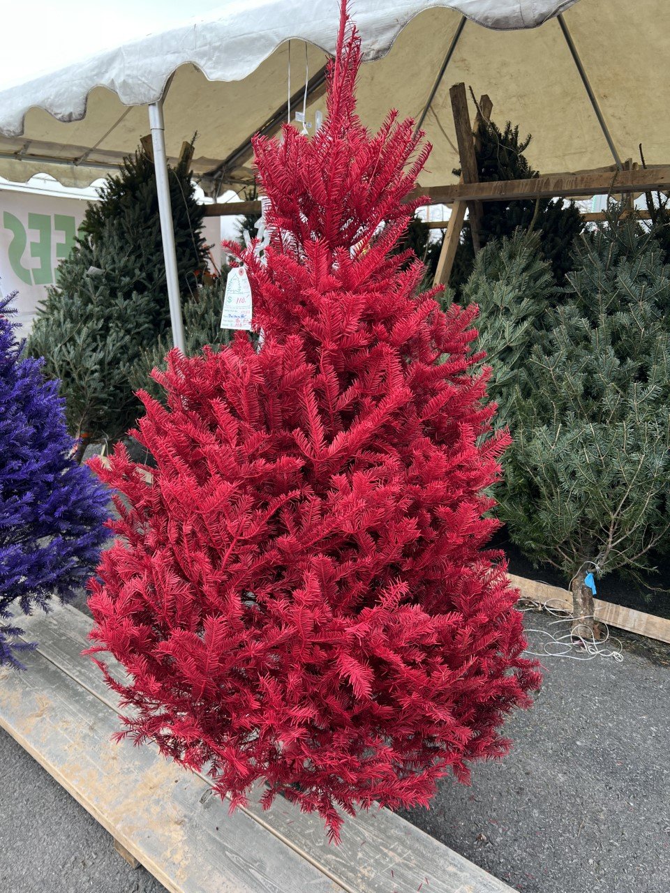 Christmas Trees and Wreaths for sale Walden, NY Creative Touch