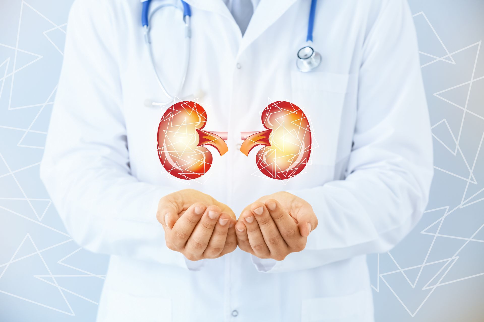 Medical professional holding a digital illustration of kidneys, representing kidney health.