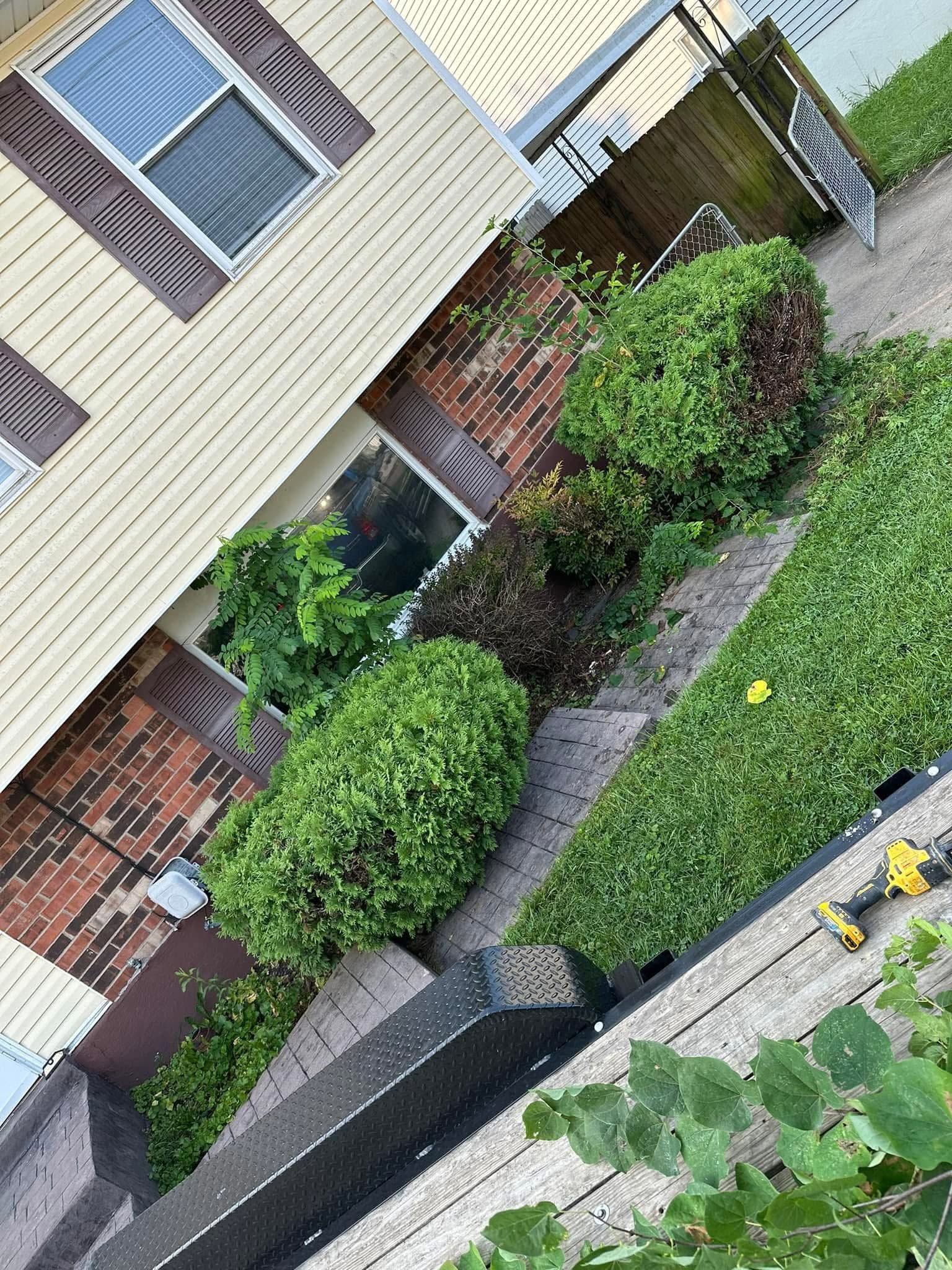 Tilted view of a house exterior with brick, shrubs, a sidewalk, and green lawn with yellow flowers
