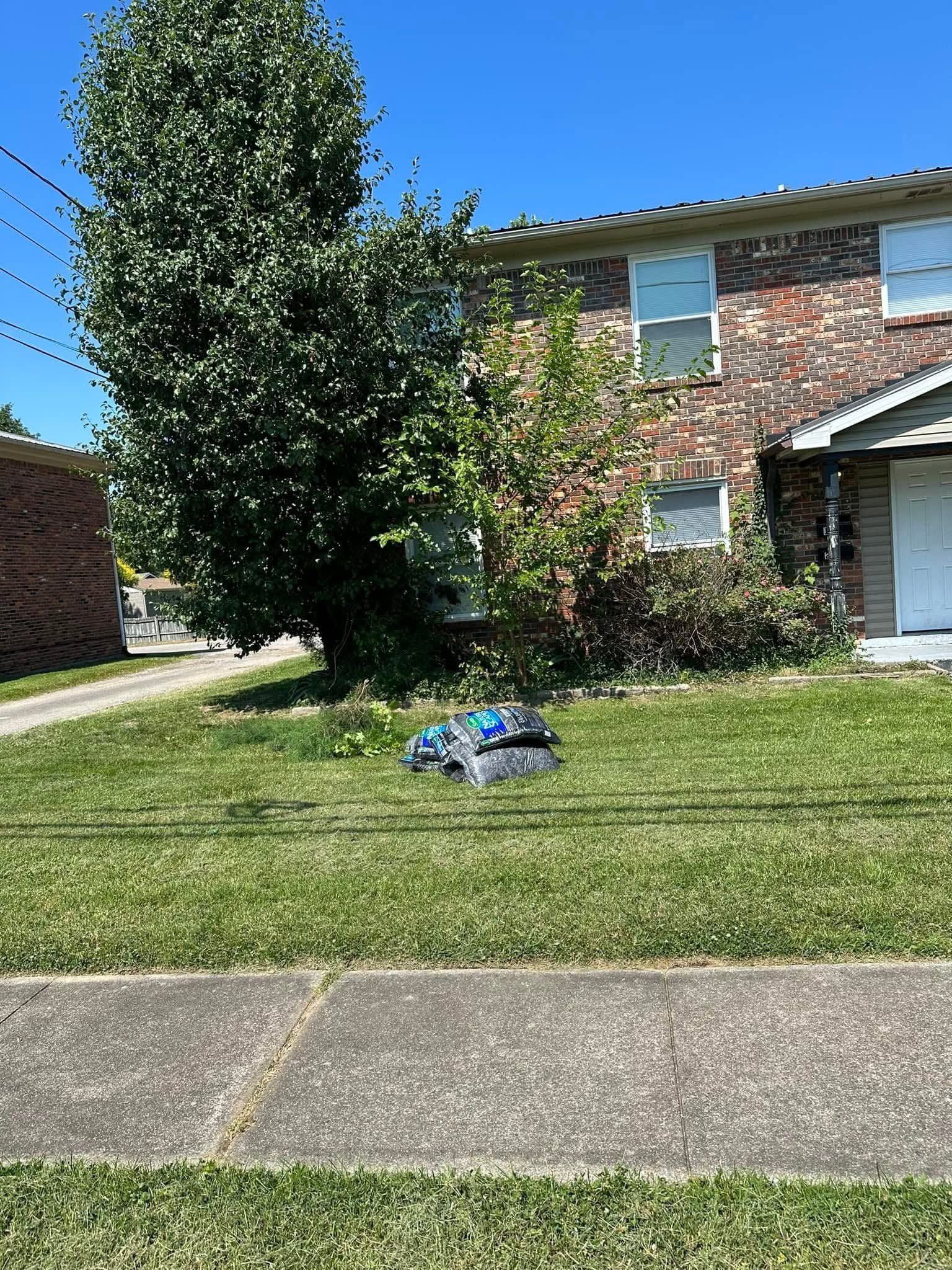 Brick house with a large tree and a blue bag on the front lawn beside a sidewalk