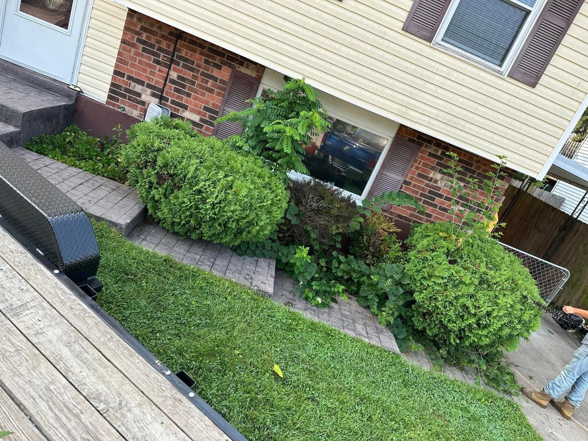 Tilted view of a house exterior with brick and beige siding, green shrubs, and a grassy front yard.