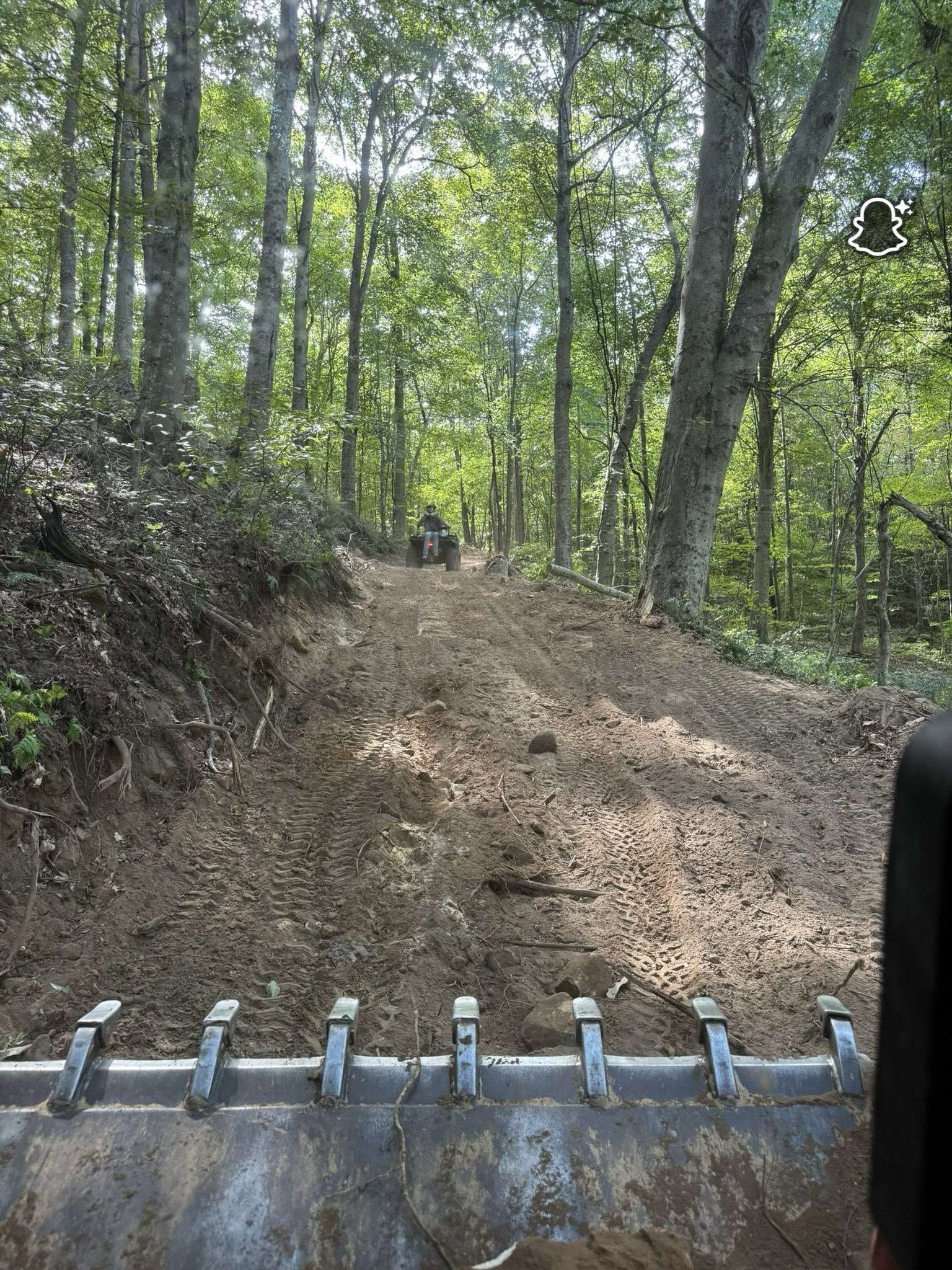 Off-road vehicle climbing a muddy forest trail, with trees lining the path.