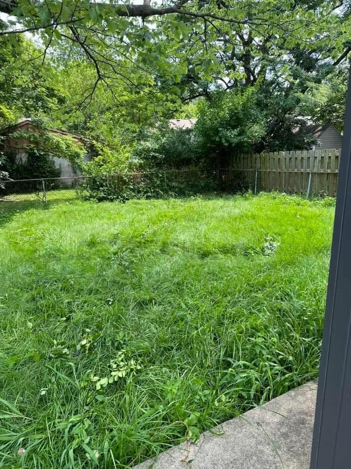 Overgrown backyard lawn with trees and a wooden fence beside a patio edge