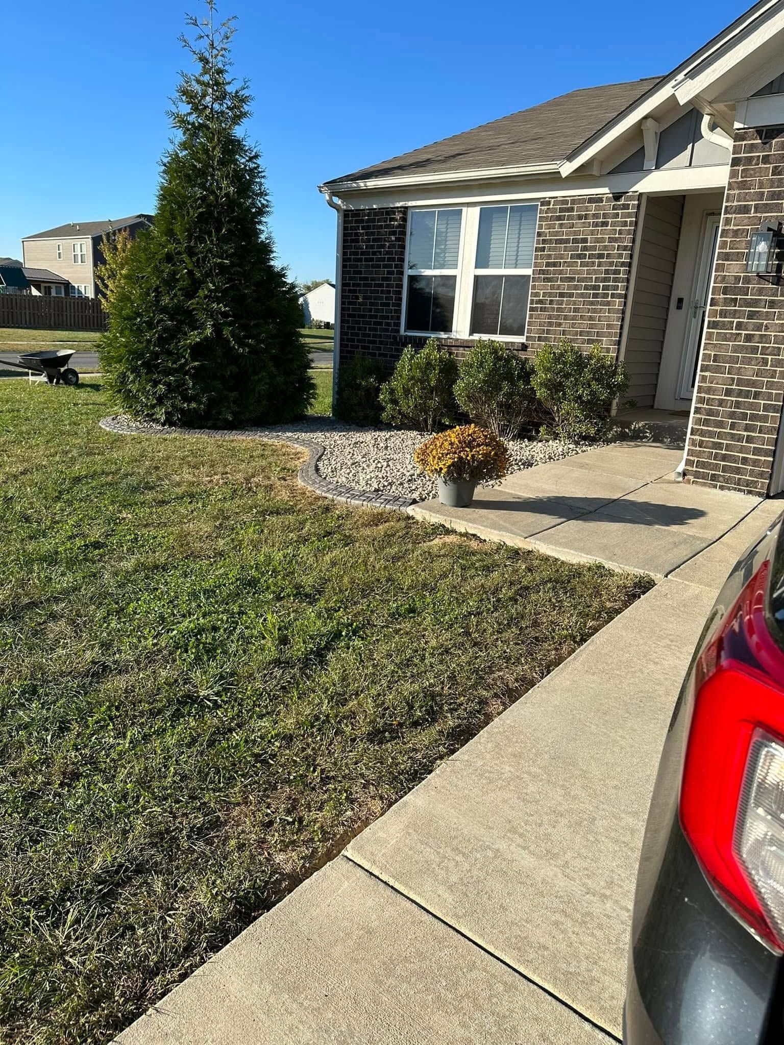 Front yard of a brick house with a large evergreen tree, shrubs, and a sidewalk beside a parked red vehicle.