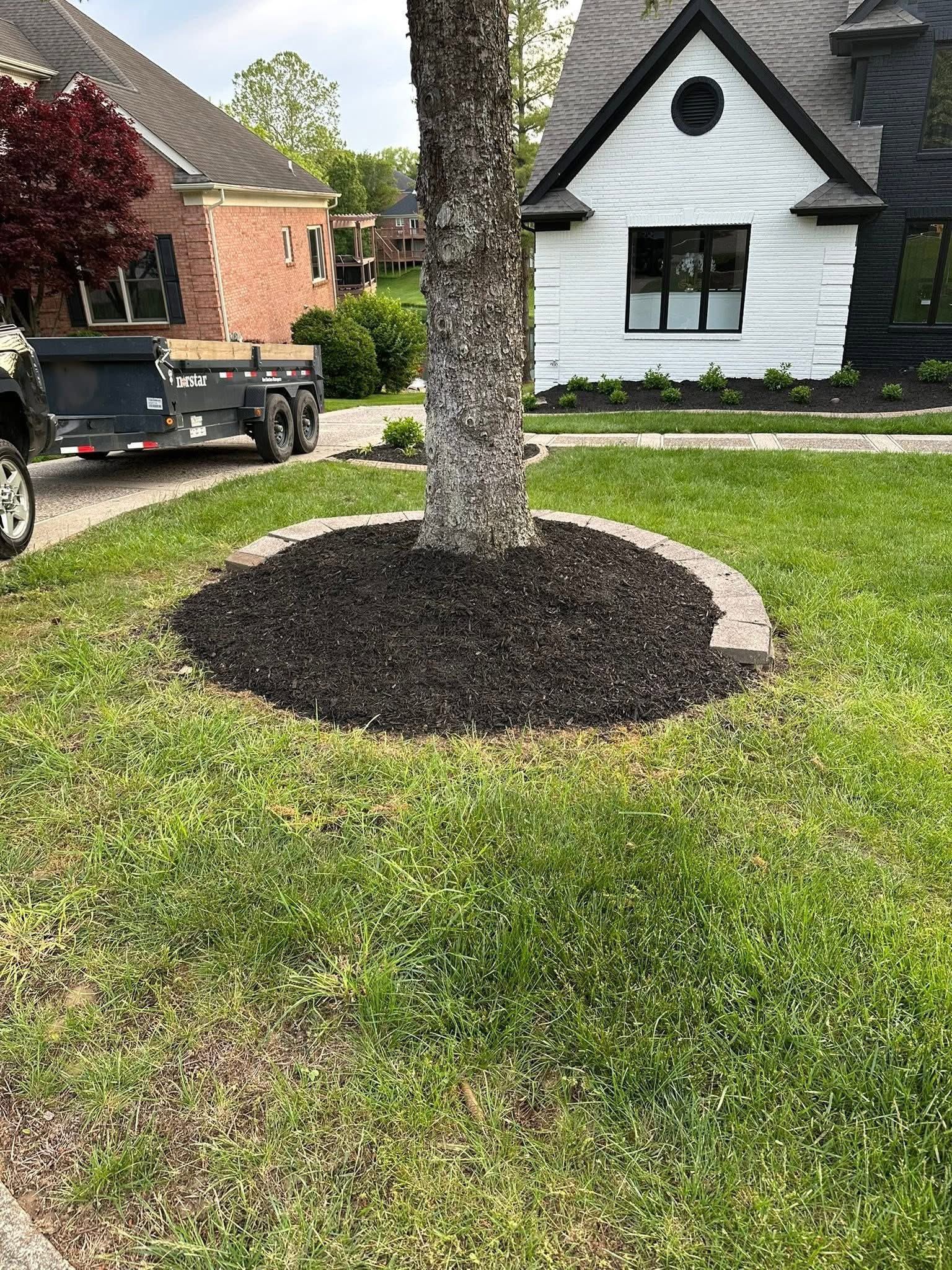 Mulched tree bed in a grassy yard beside a black-and-white house and a parked trailer.