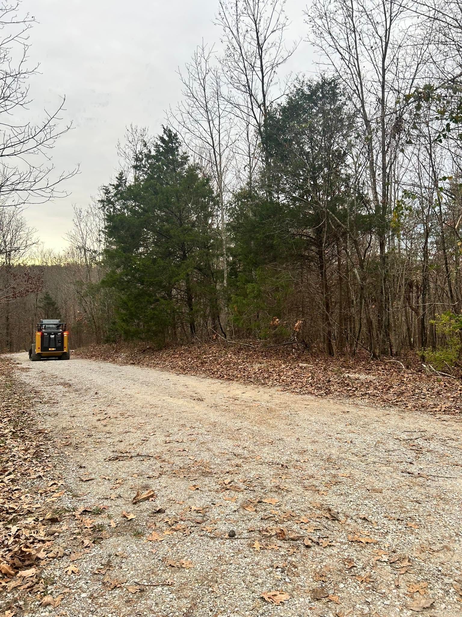 Bulldozer on a leaf-covered gravel road beside bare trees in a wooded area