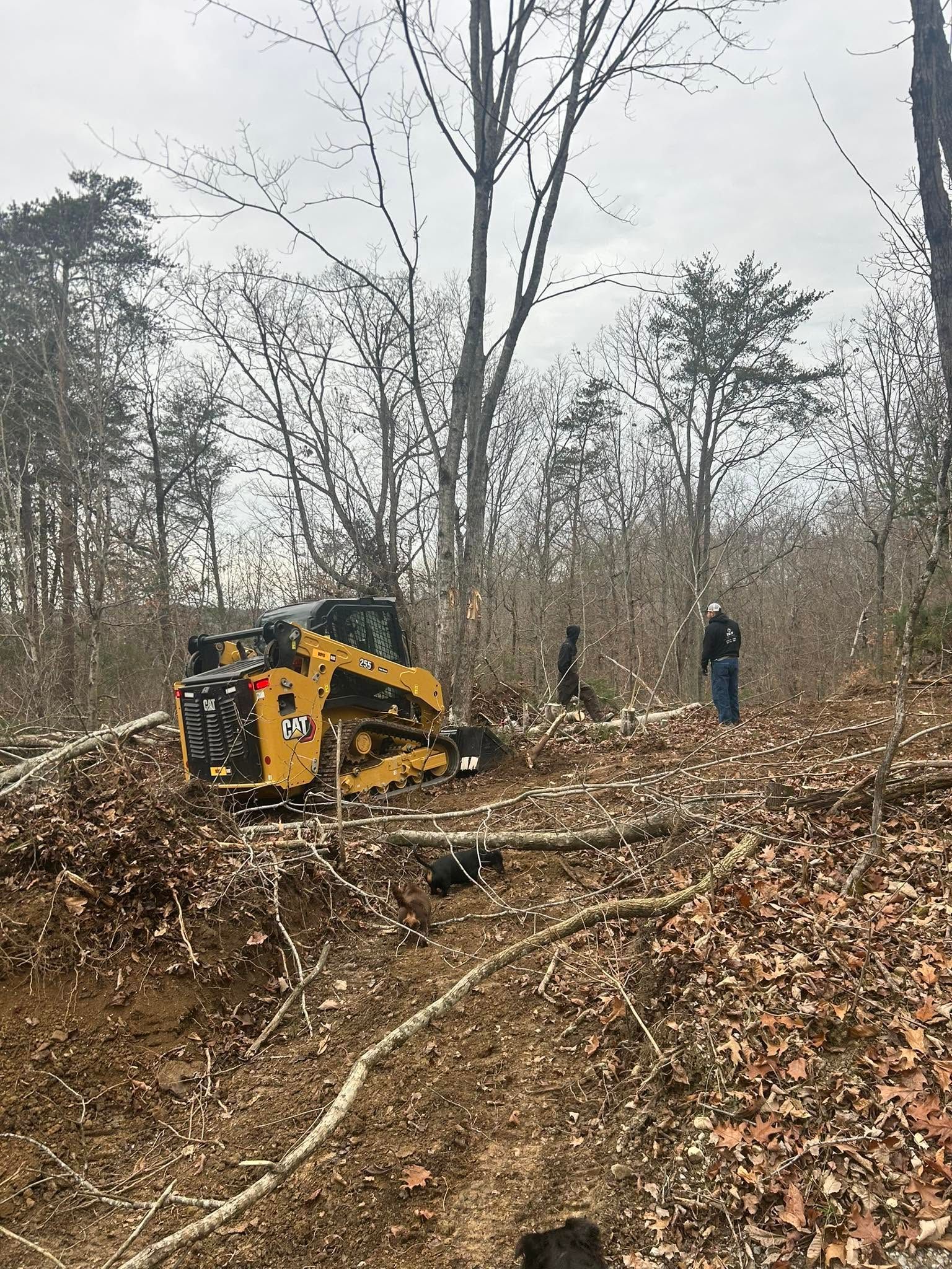 Yellow excavator clearing a wooded, leaf-covered area while a person stands nearby
