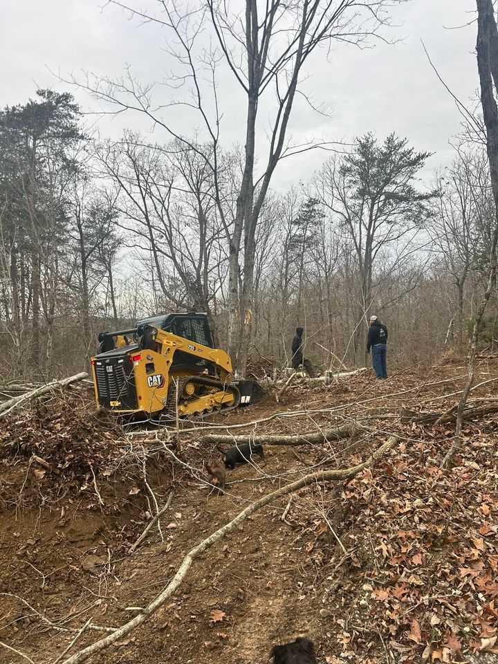 Yellow skid-steer clearing brush in a leaf-covered wooded area, with a person standing nearby