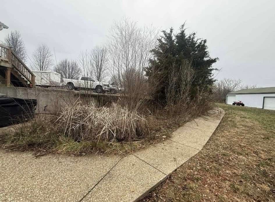 Curving gravel path beside overgrown shrubs and leafless trees on a cloudy day