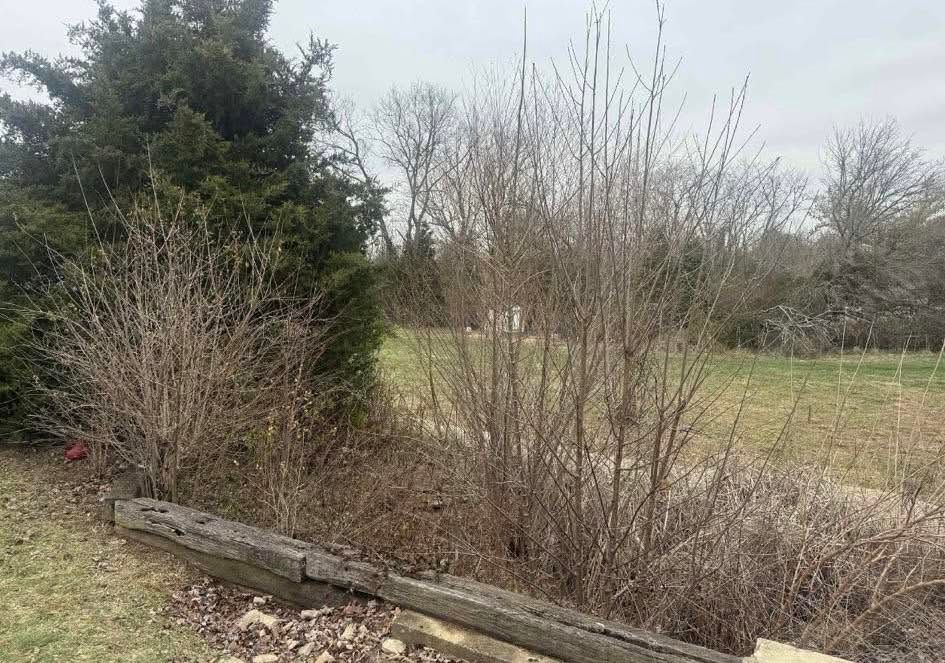 Overgrown brush beside a grassy field under a cloudy sky, with a fallen wooden beam in the foreground