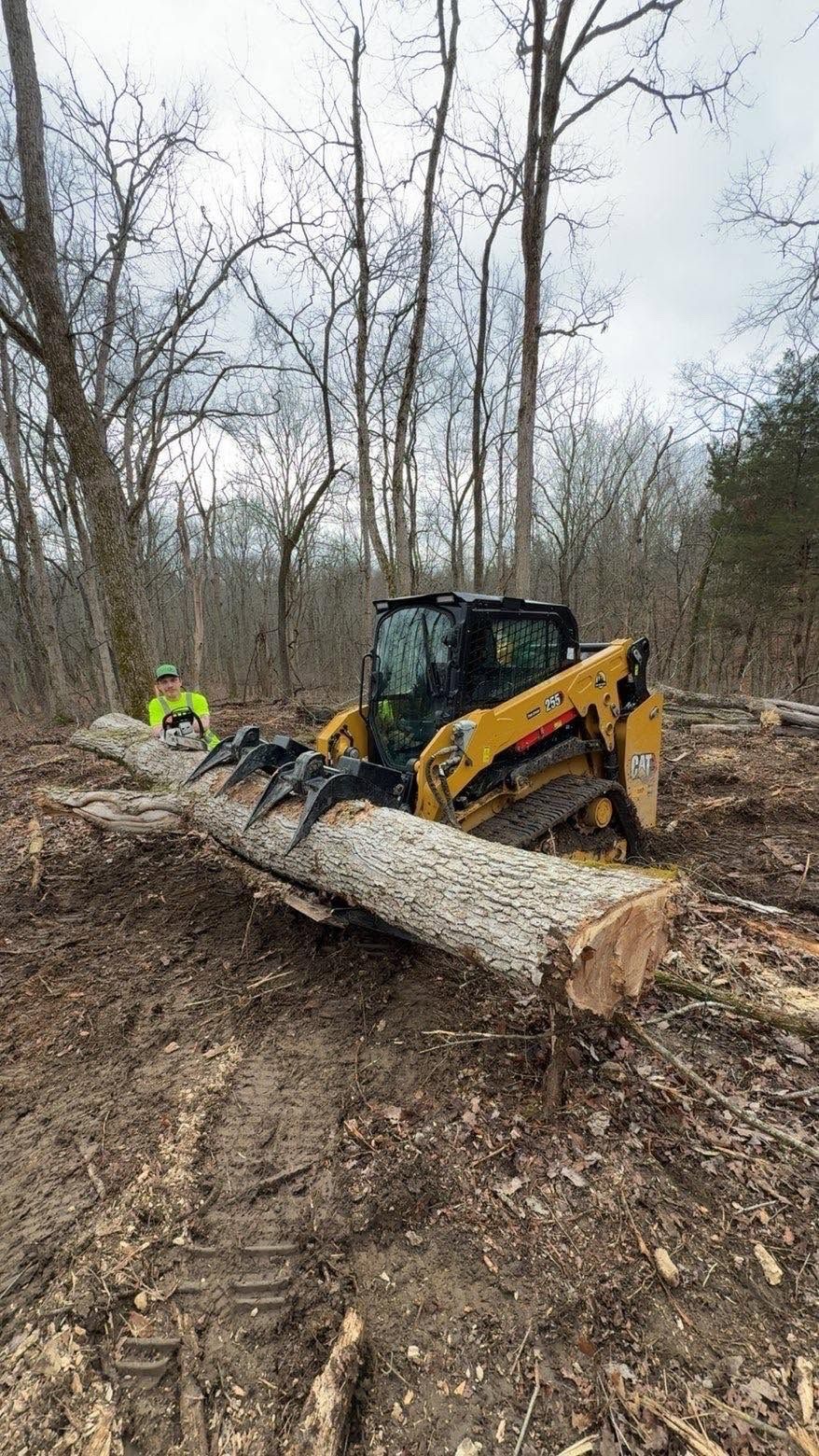 Yellow skid steer lifting a fallen log in a wooded clearing, with workers in the background