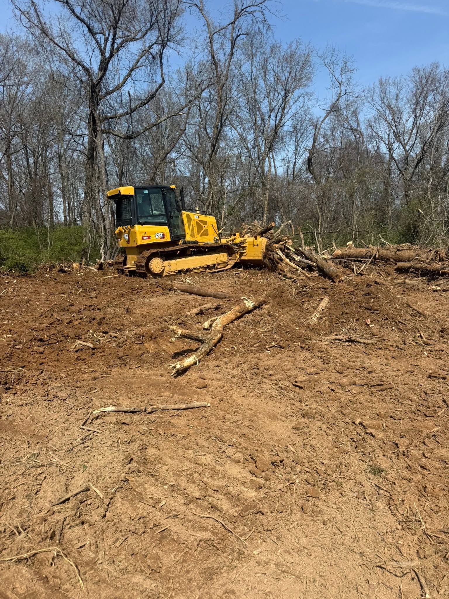 Yellow bulldozer clearing a dirt hillside with bare trees in the background