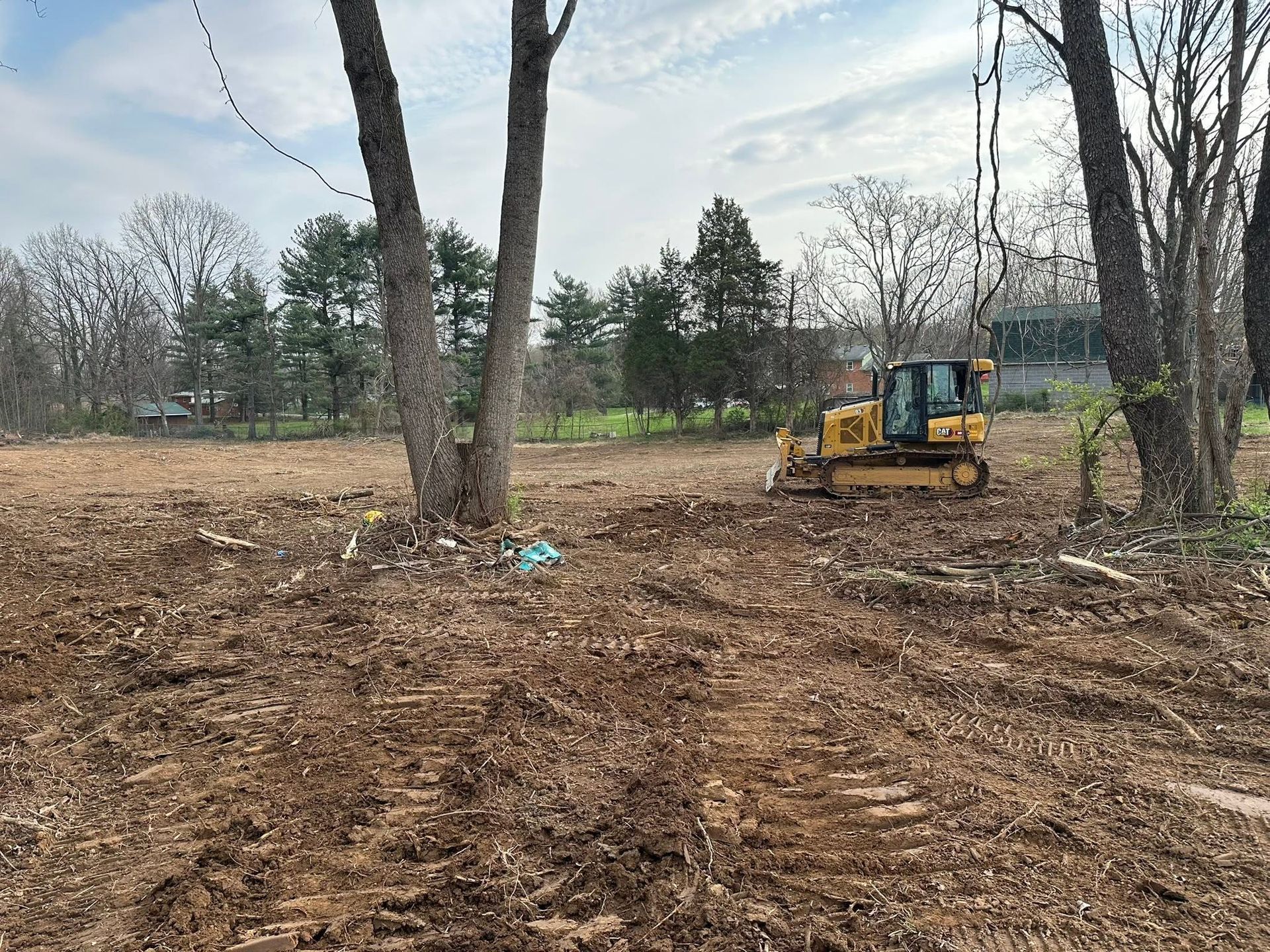 Cleared dirt lot with a small bulldozer among trees on an overcast day