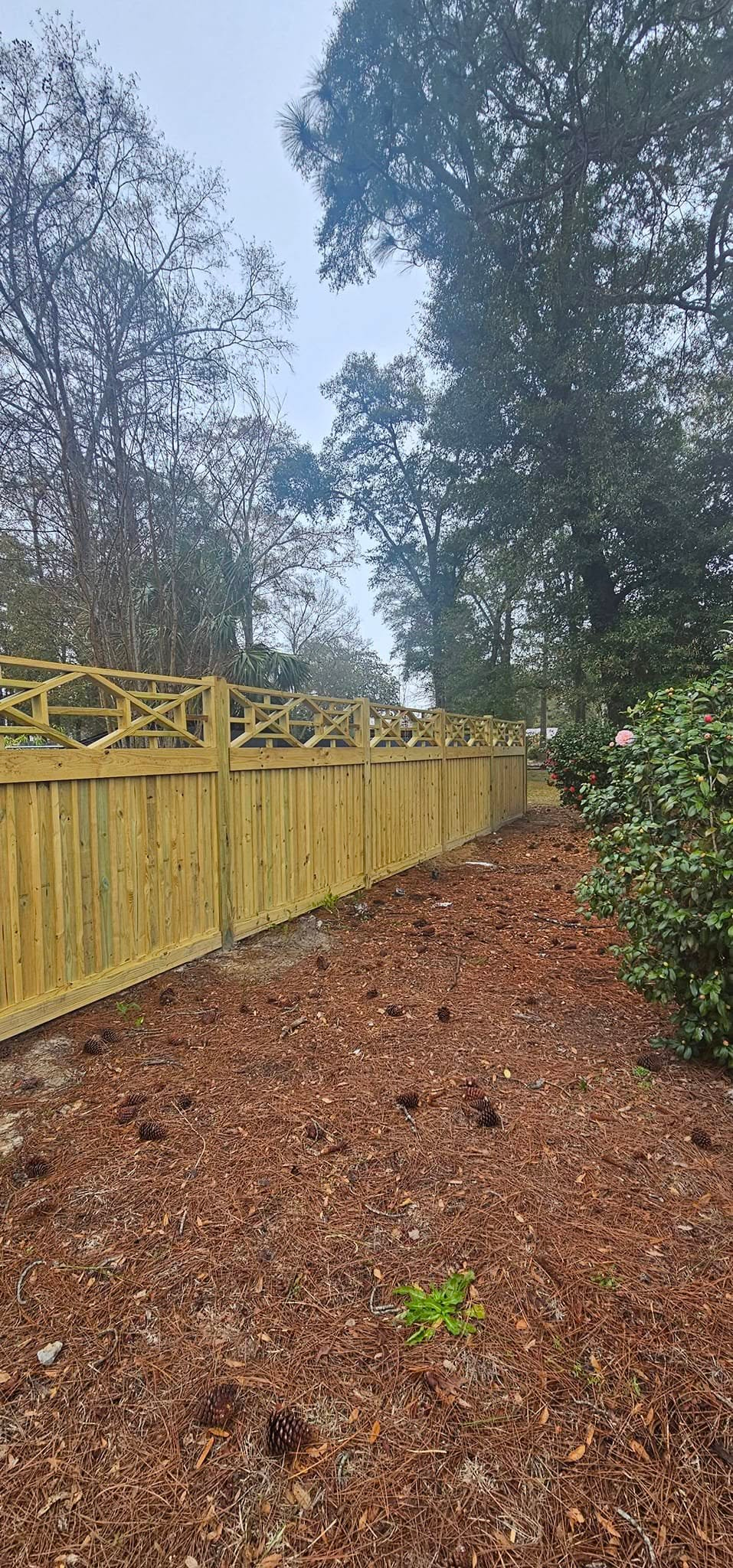 Mendoza Barrier Fence