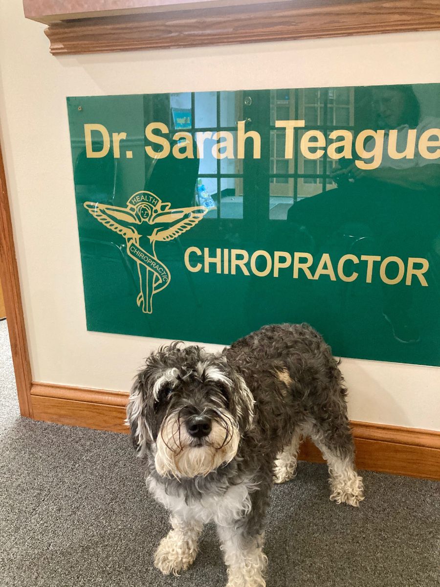 Chiropractor Credentials Beavercreek OH Sarah M Teague DC