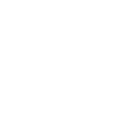 Alignment