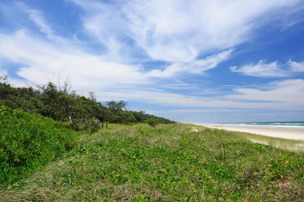 A Beach With a Lot of Grass and Trees and a Blue Sky — Great Northern Airconditioning & Mechanical Services in Casuarina, NT