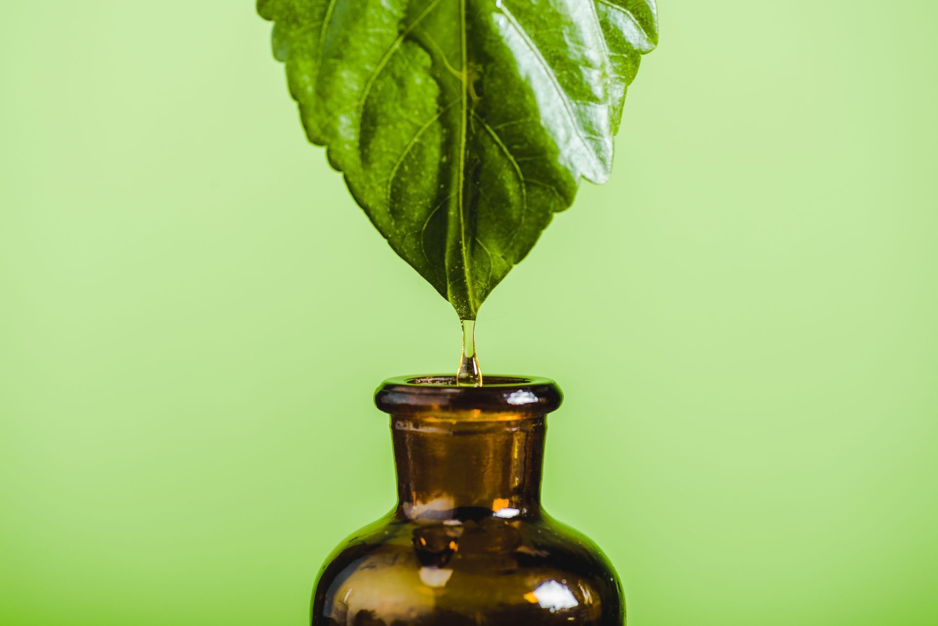 Grünes Blatt in einer kleinen braunen Flasche vor hellgrünem Hintergrund.
