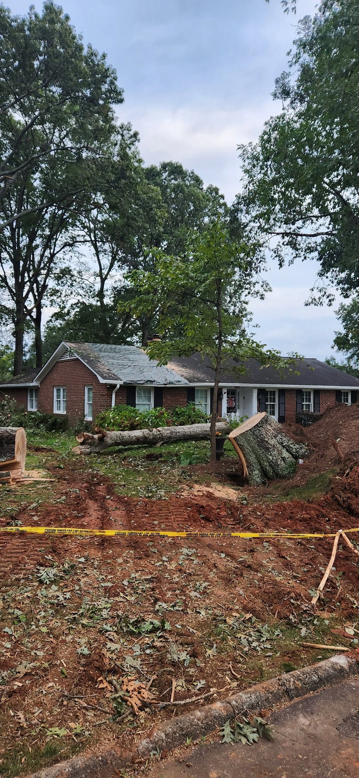 Storm-damaged front yard with fallen branches, a brick house, and tall trees