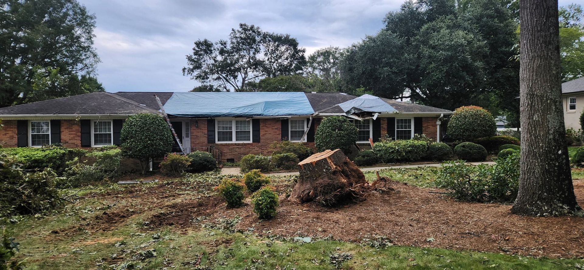 Single-story brick house with light blue awnings, storm damage, fallen tree debris, and a large tree in front yard