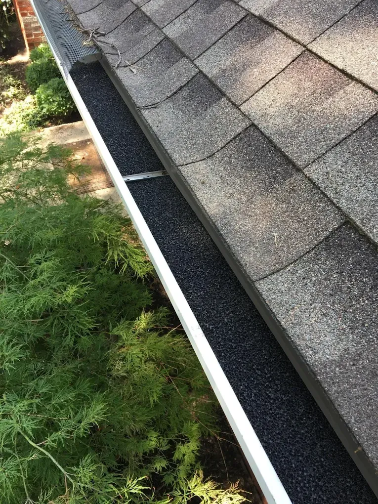 Roof edge with gray shingles, white gutter, and green shrubs below