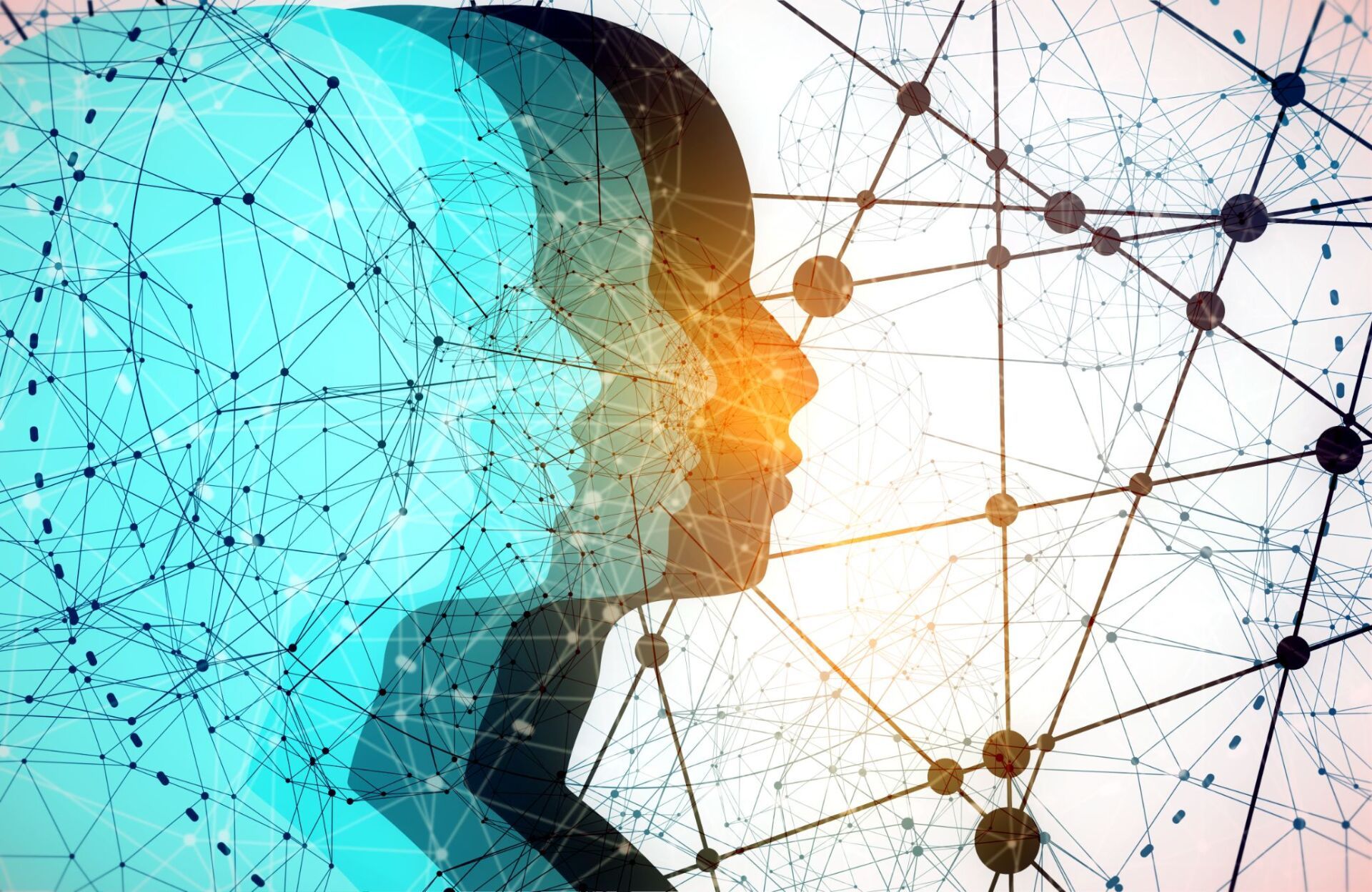 Attività didattica e società scientifiche