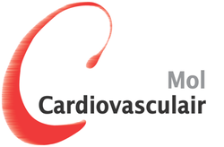 Het Mol Cardiovasculair-logo met een rode streep en grijze tekst.