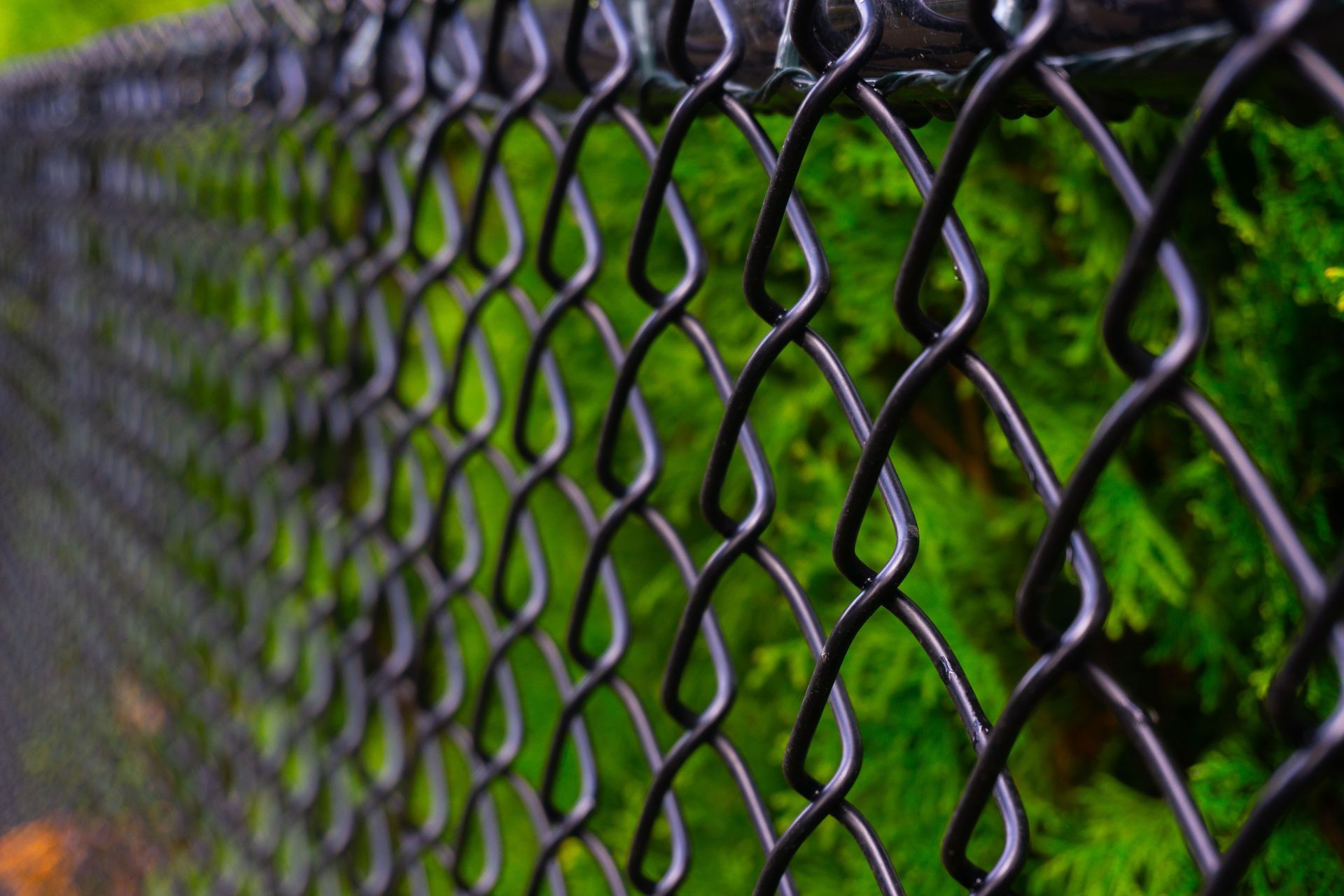 Grassy yard with fallen leaves, wooden fence, gate, and trees with fall foliage. Grassy yard with fallen leaves, wooden fence, gate, and trees with fall foliage.