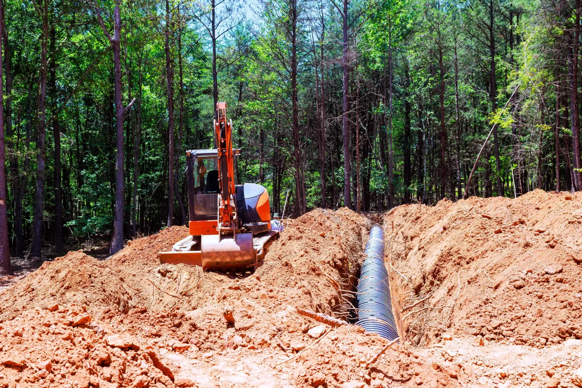 Excavator digging a trench through red soil in a pine forest clearing