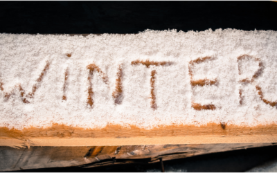 Winter Session Registration 2020-2021