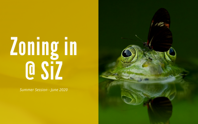 Zoning in @ SiZ Summer 2020