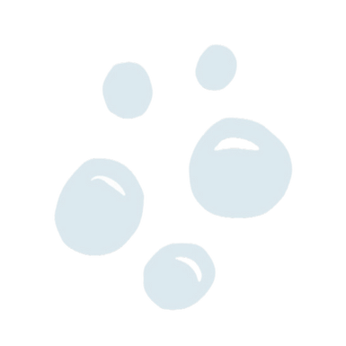 A group of water drops on a white background.