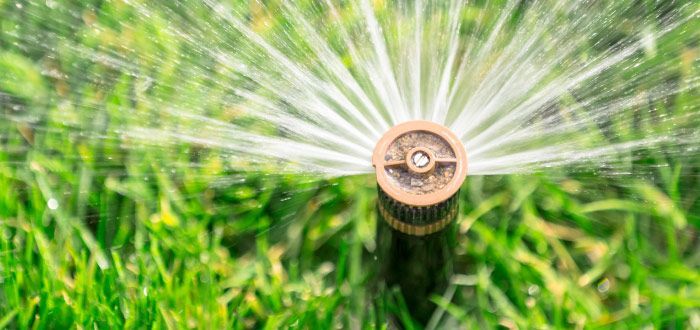 Irrigation System Maintenance