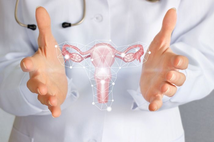 Un medico mostra un ologramma dell'apparato riproduttivo femminile sopra un camice bianco.