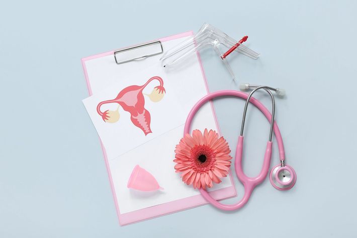 Cartella medica rosa con foglio anatomico, stetoscopio, fiore e penna su sfondo azzurro.