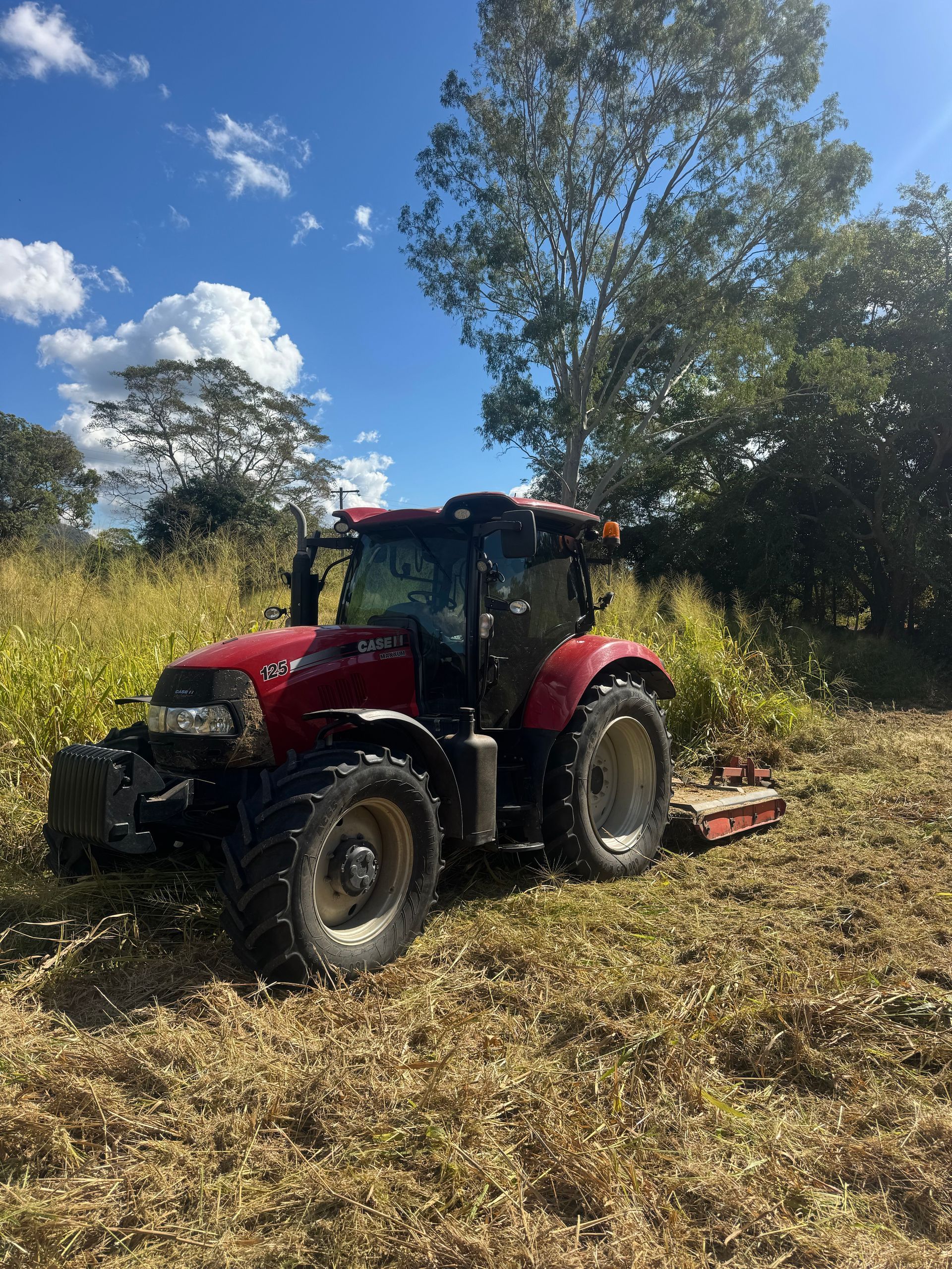 Red Tractor Mowing Tall Grass in a Field Under a Blue Sky — Cane Country Slashing & Mowing In Marian, QLD