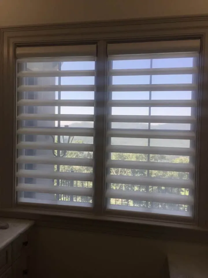 Window with white blinds, showing daylight and trees outside, above a kitchen counter.